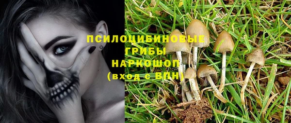 a pvp Абдулино
