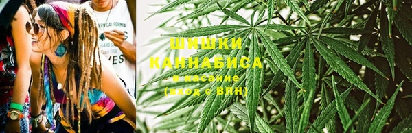 крисы Медвежьегорск